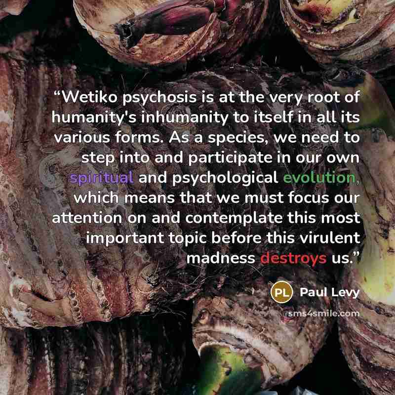 “Wetiko psychosis is at the very root of humanity's inhumanity to itself in all its various forms. As a species, we need to step into and participate in our own spiritual and psychological evolution, which means that we must focus our attention on and contemplate this most important topic before…” quote by Paul Levy