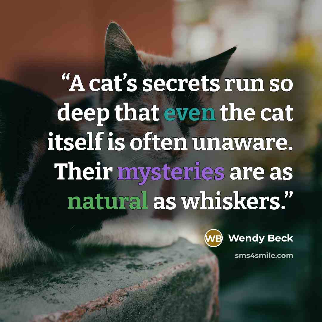 “A cat’s secrets run so deep that even the cat itself is often unaware. Their mysteries are as natural as whiskers.” quote by Wendy Beck