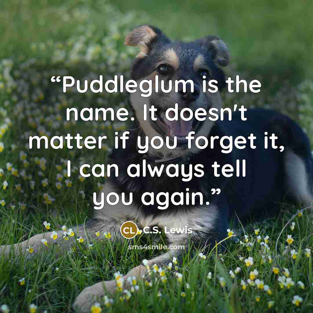 “Puddleglum is the name. It doesn't matter if you forget it, I can always tell you again.” quote by C.S. Lewis