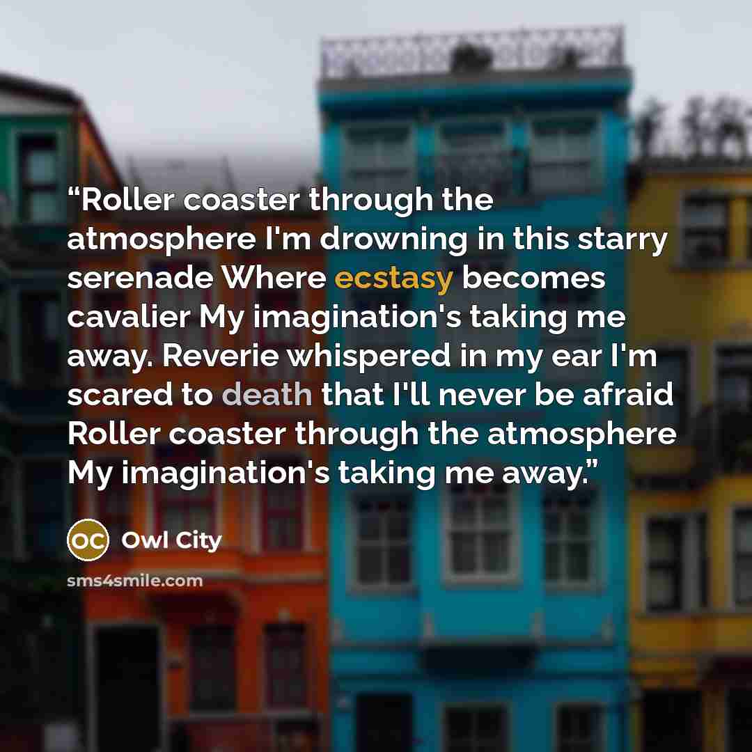 “Roller coaster through the atmosphere I'm drowning in this starry serenade Where ecstasy becomes cavalier My imagination's taking me away. Reverie whispered in my ear I'm scared to death that I'll never be afraid Roller coaster through the atmosphere My imagination's taking me away.” quote by Owl City