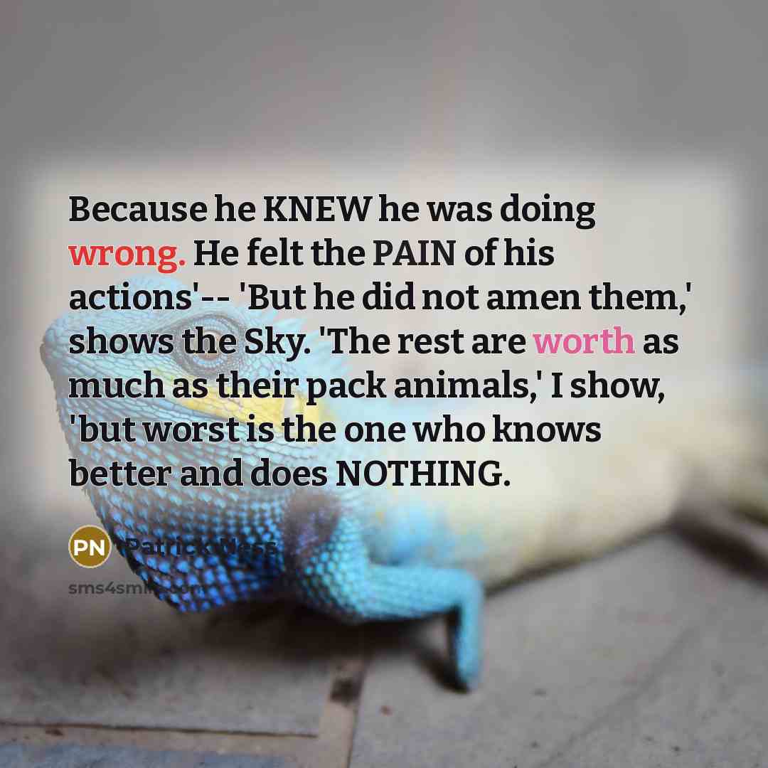 “Because he KNEW he was doing wrong. He felt the PAIN of his actions'-- 'But he did not amen them,' shows the Sky. 'The rest are worth as much as their pack animals,' I show, 'but worst is the one who knows better and does NOTHING.” quote by Patrick Ness