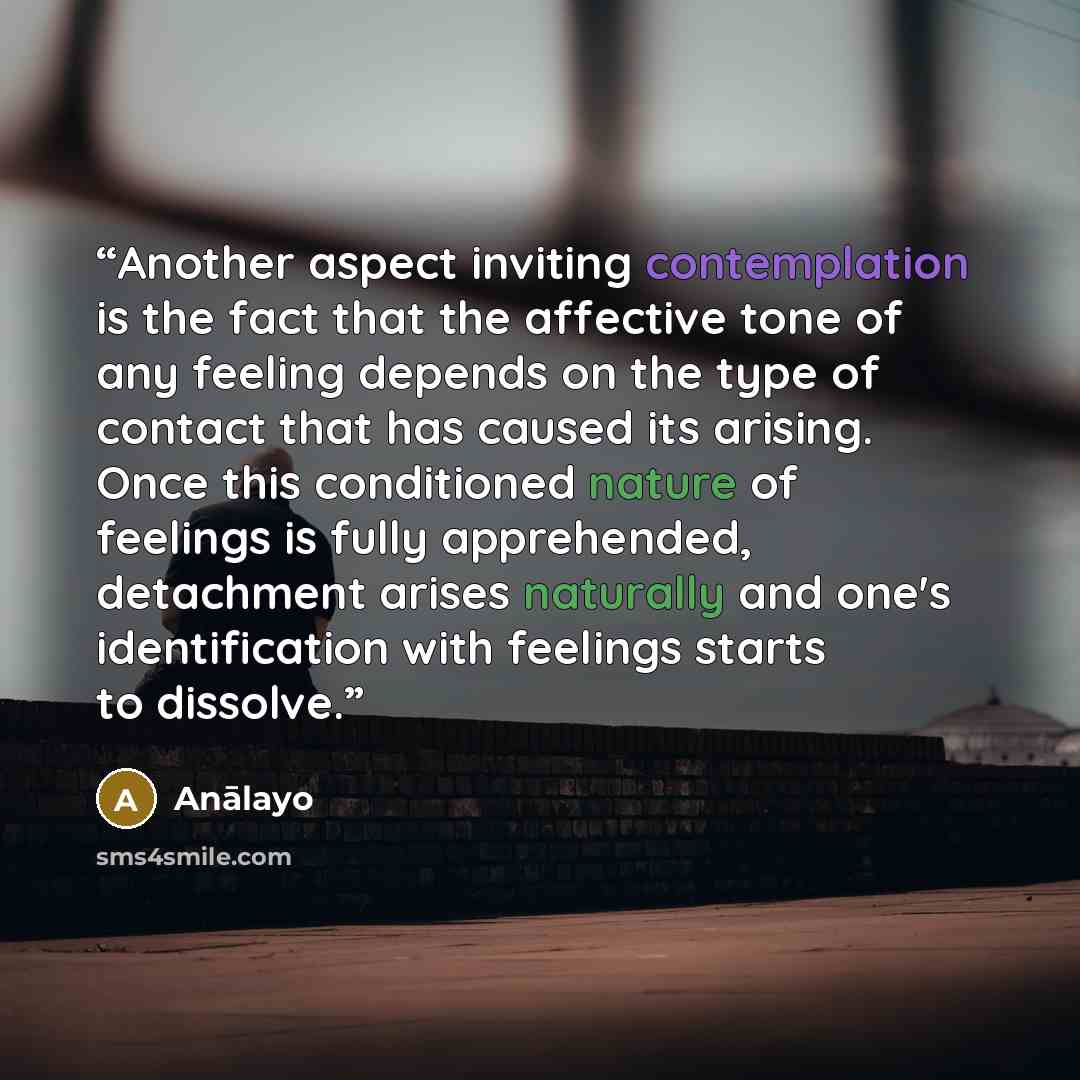 “Another aspect inviting contemplation is the fact that the affective tone of any feeling depends on the type of contact that has caused its arising. Once this conditioned nature of feelings is fully apprehended, detachment arises naturally and one's identification with feelings starts to dissolve.” quote by Anālayo