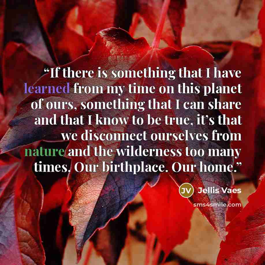 “If there is something that I have learned from my time on this planet of ours, something that I can share and that I know to be true, it’s that we disconnect ourselves from nature and the wilderness too many times. Our birthplace. Our home.” quote by Jellis Vaes