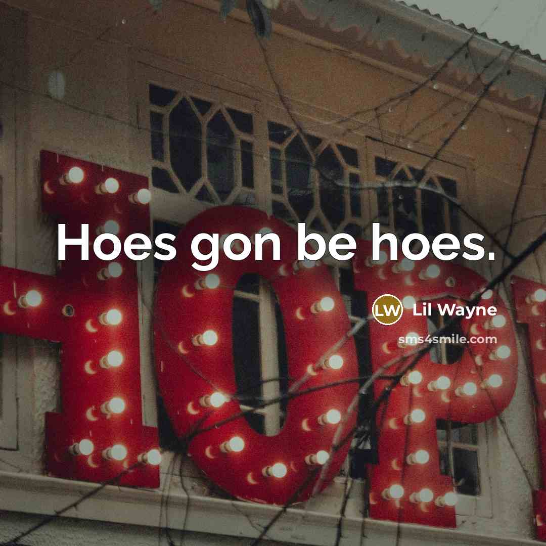 “Hoes gon be hoes.” quote by Lil Wayne