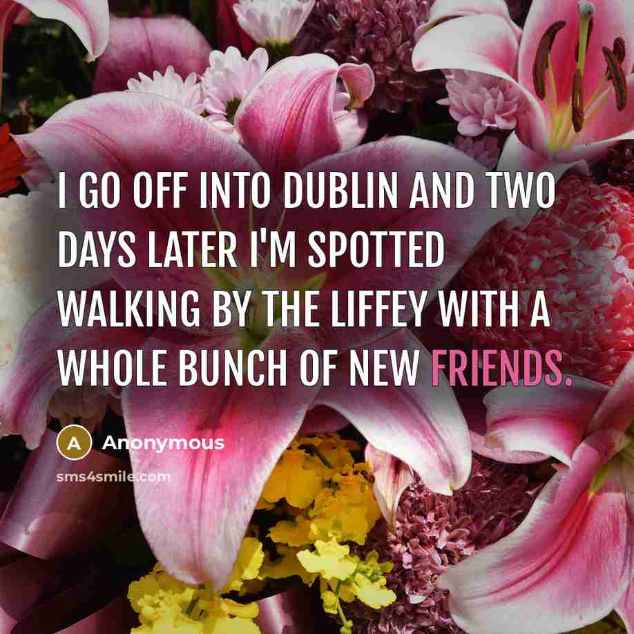 “I go off into Dublin and two days later I'm spotted walking by the Liffey with a whole bunch of new friends.” quote by Anonymous