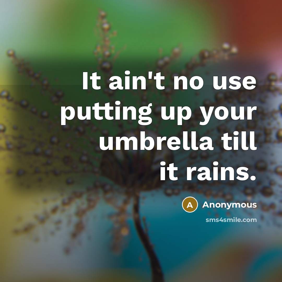 “It ain't no use putting up your umbrella till it rains.” quote by Anonymous