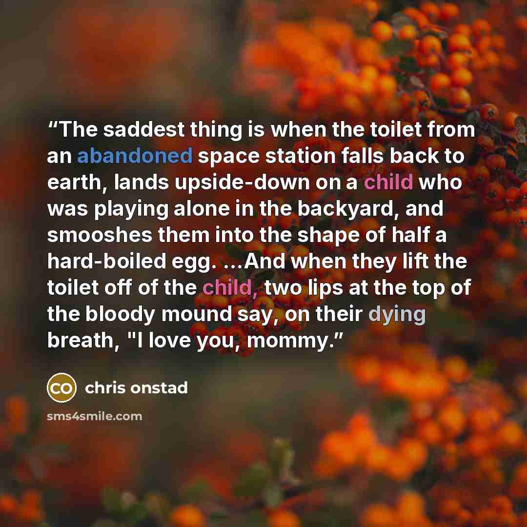 “The saddest thing is when the toilet from an abandoned space station falls back to earth, lands upside-down on a child who was playing alone in the backyard, and smooshes them into the shape of half a hard-boiled egg. ...And when they lift the toilet off of the child, two lips at the top of the…” quote by Chris Onstad