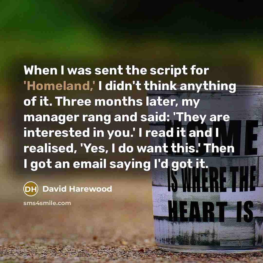 “When I was sent the script for 'Homeland,' I didn't think anything of it. Three months later, my manager rang and said: 'They are interested in you.' I read it and I realised, 'Yes, I do want this.' Then I got an email saying I'd got it.” quote by David Harewood