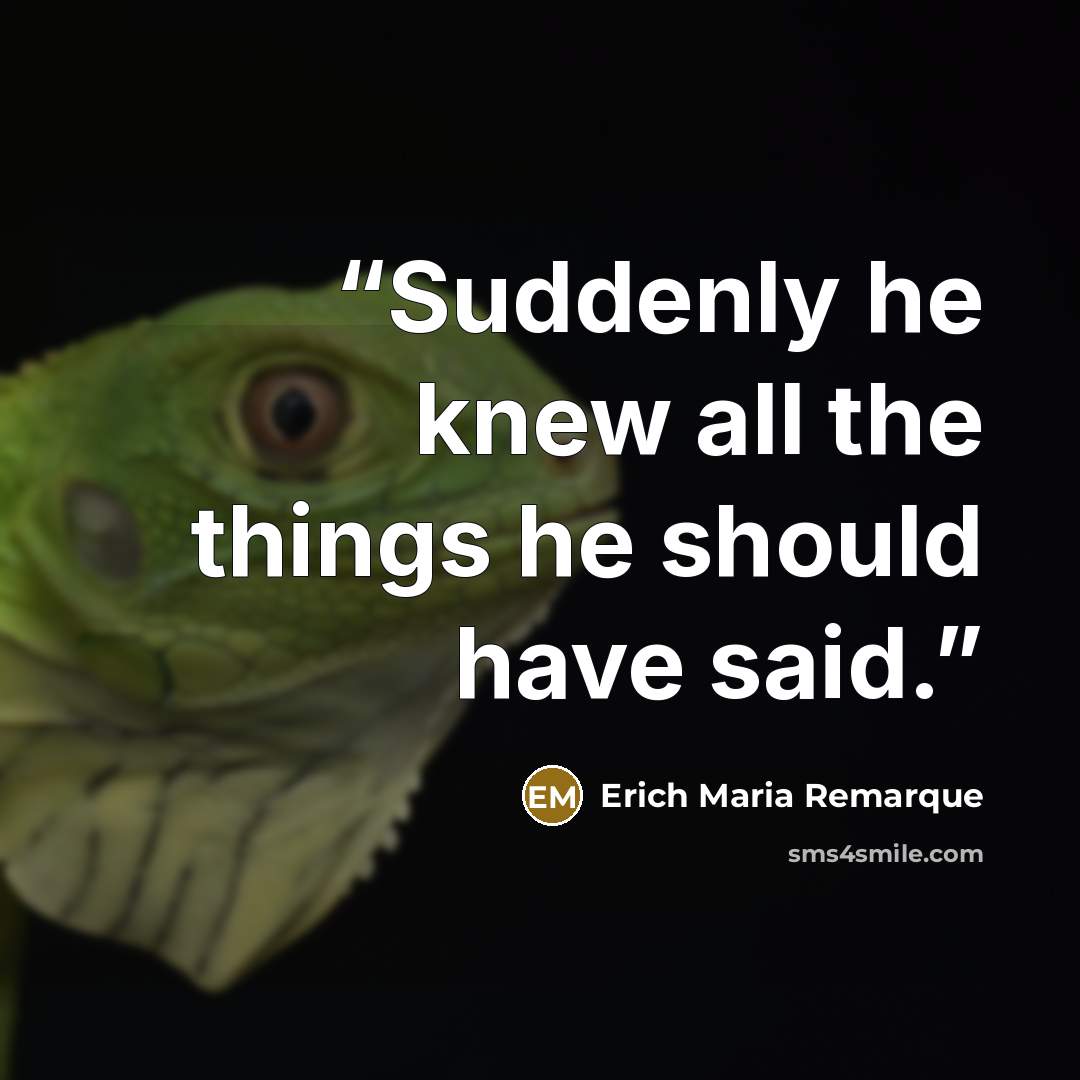 “Suddenly he knew all the things he should have said.” quote by Erich Maria Remarque