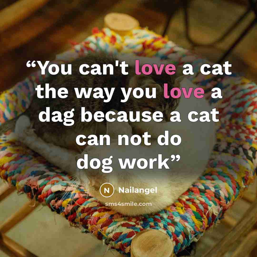 “You can't love a cat the way you love a dag because a cat can not do dog work” quote by Nailangel