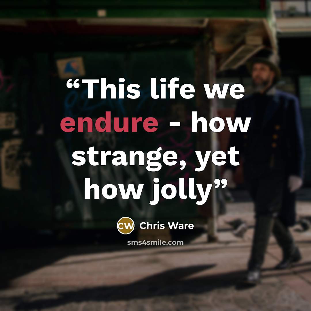 “This life we endure - how strange, yet how jolly” quote by Chris Ware