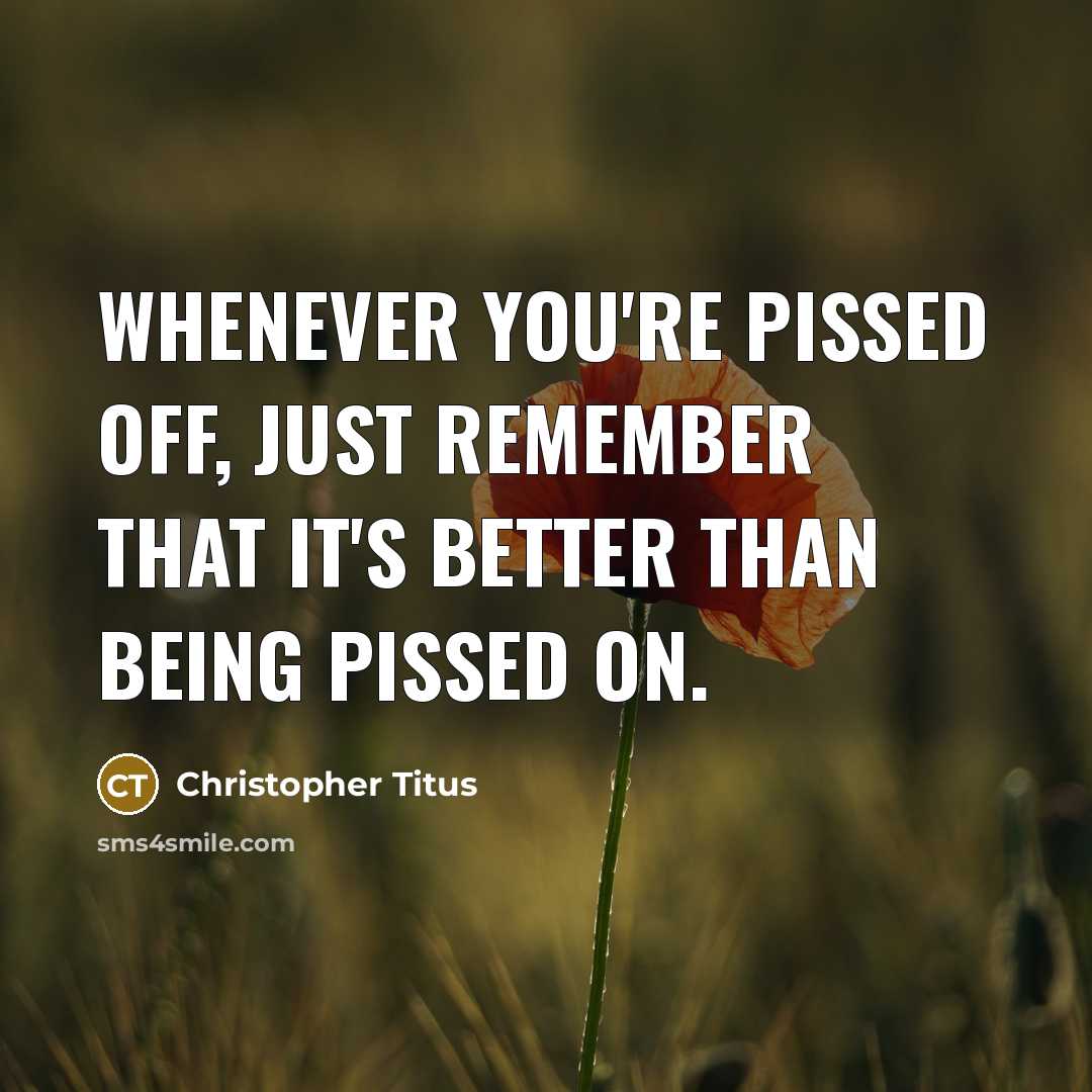 “Whenever you're pissed off, just remember that it's better than being pissed on.” quote by Christopher Titus