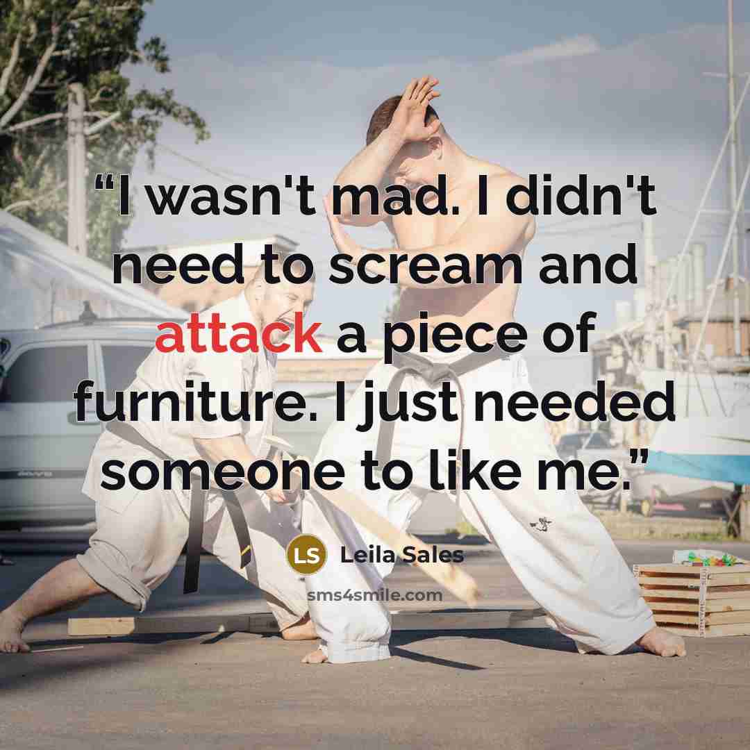 “I wasn't mad. I didn't need to scream and attack a piece of furniture. I just needed someone to like me.” quote by Leila Sales
