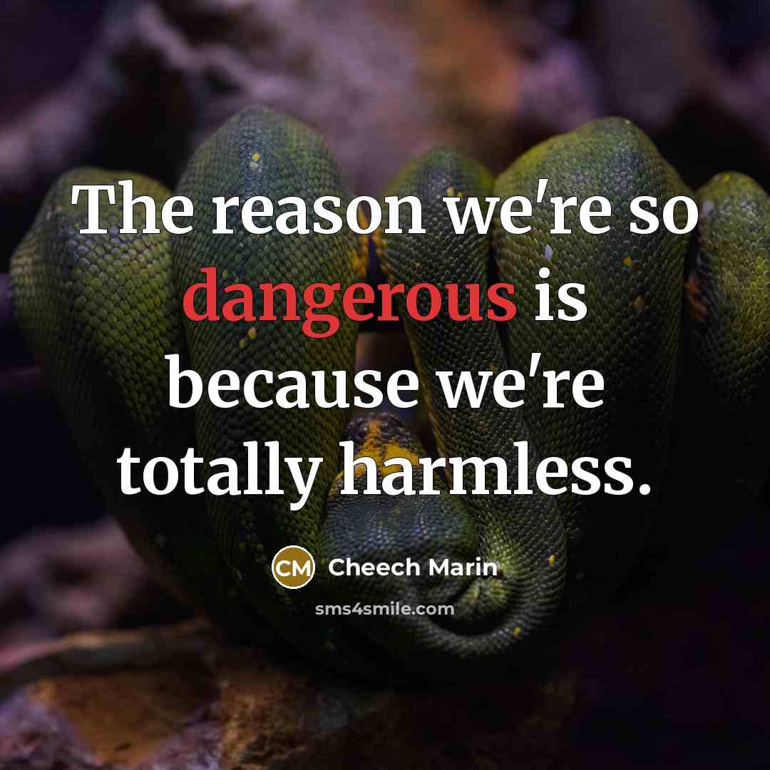 “The reason we're so dangerous is because we're totally harmless.” quote by Cheech Marin