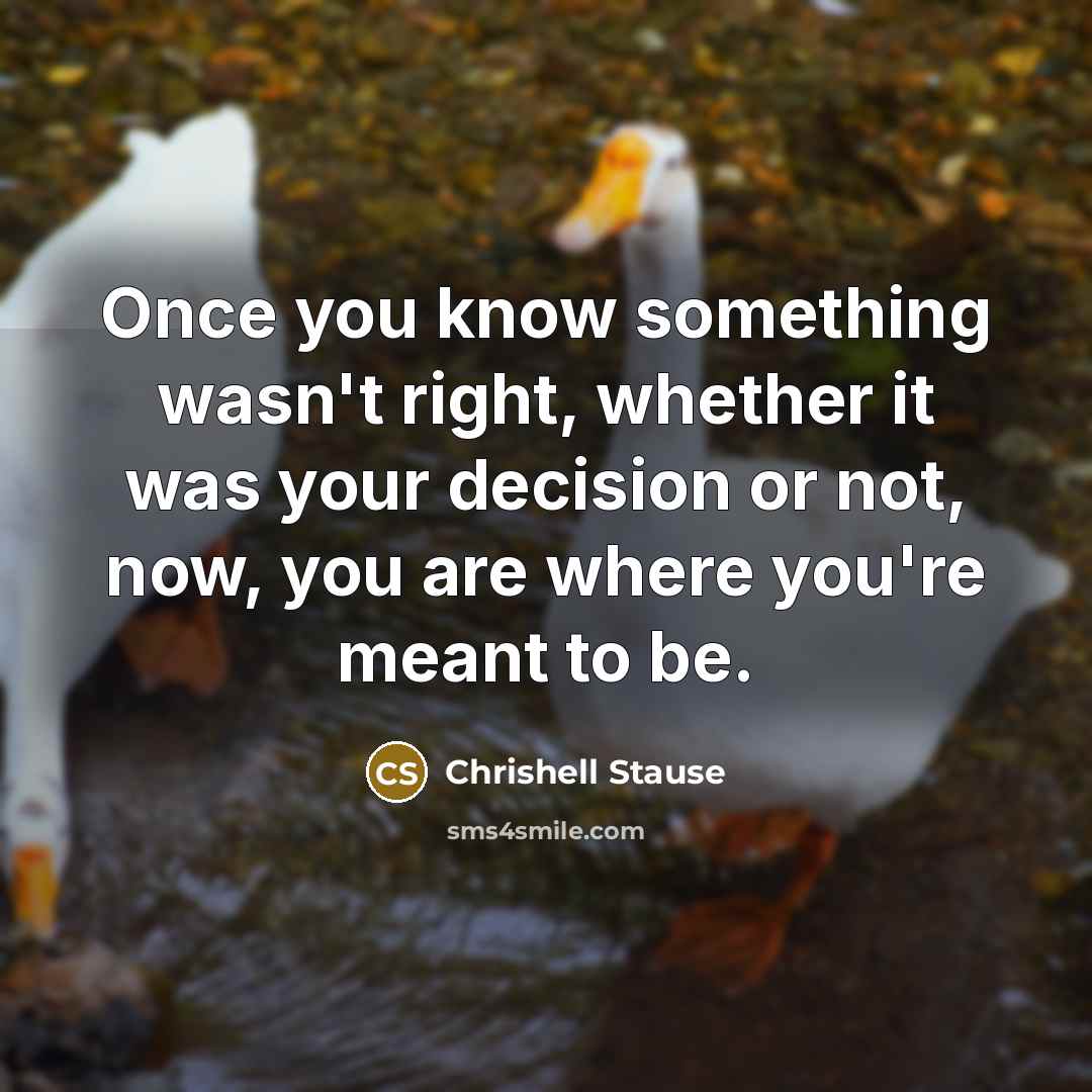 “Once you know something wasn't right, whether it was your decision or not, now, you are where you're meant to be.” quote by Chrishell Stause