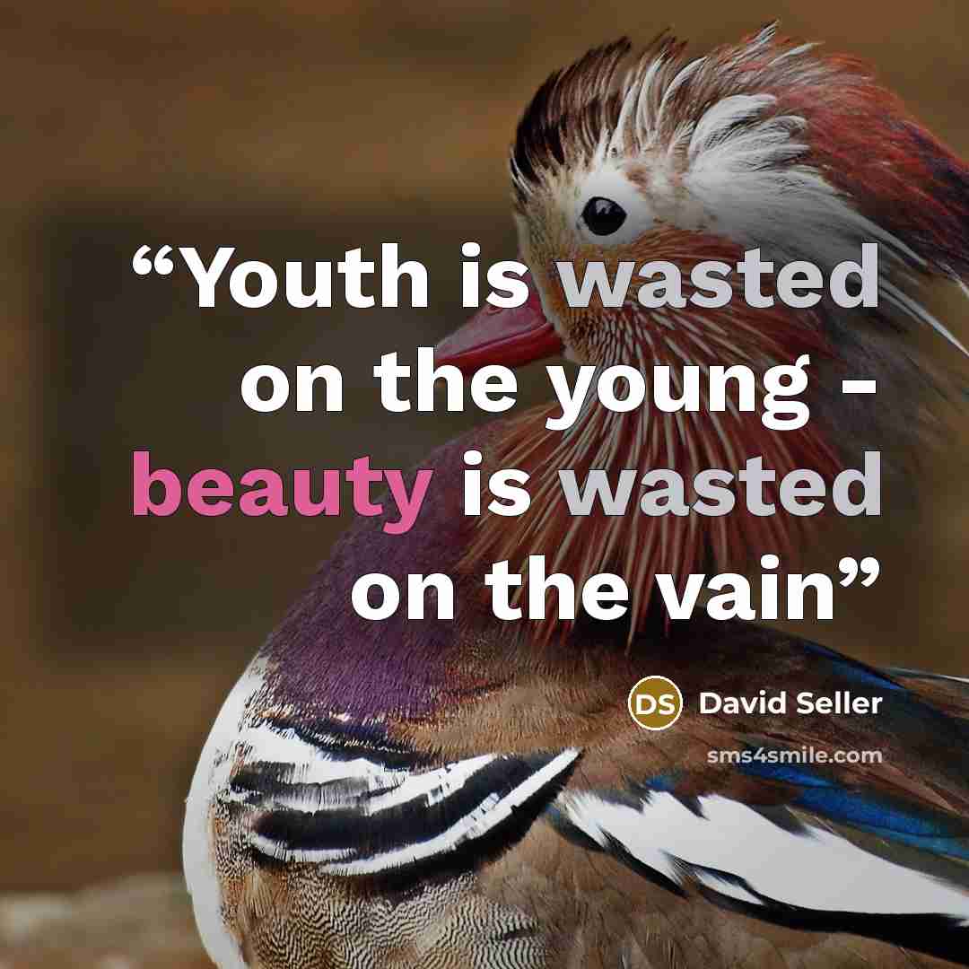 “Youth is wasted on the young - beauty is wasted on the vain” quote by David Seller