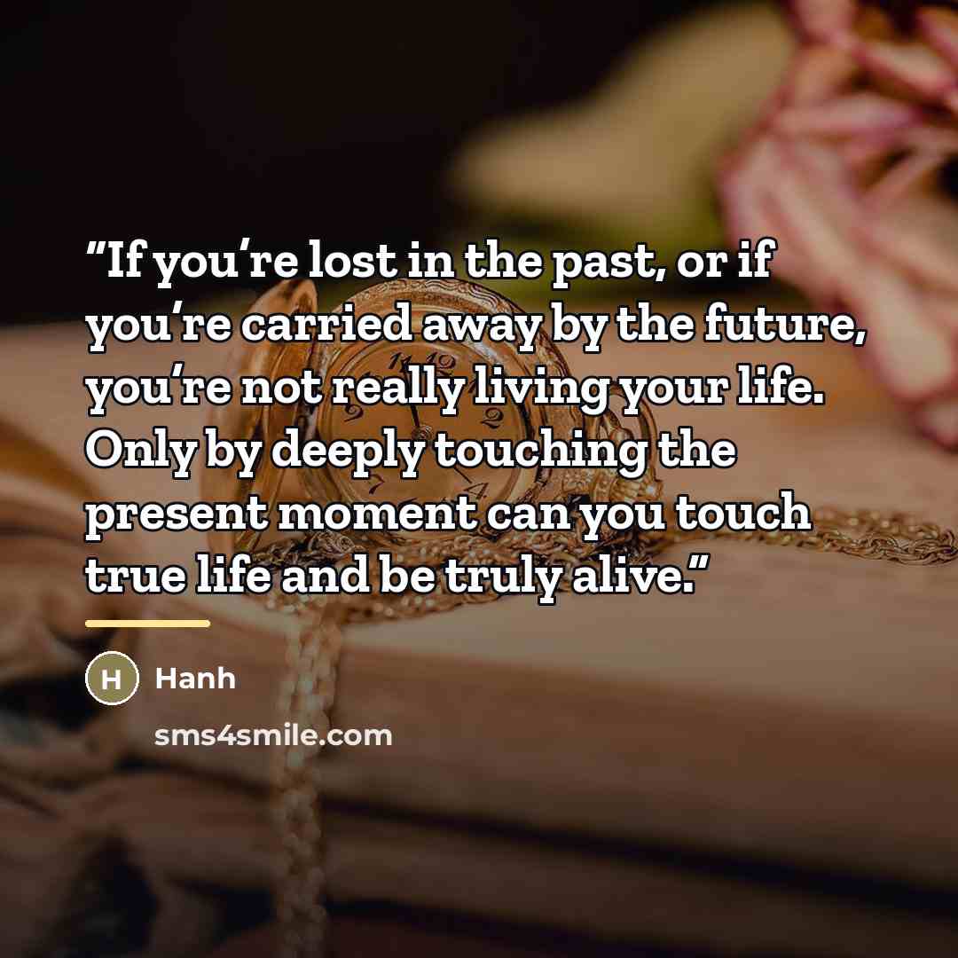 “If you’re lost in the past, or if you’re carried away by the future, you’re not really living your life. Only by deeply touching the present moment can you touch true life and be truly alive.” quote by Hanh