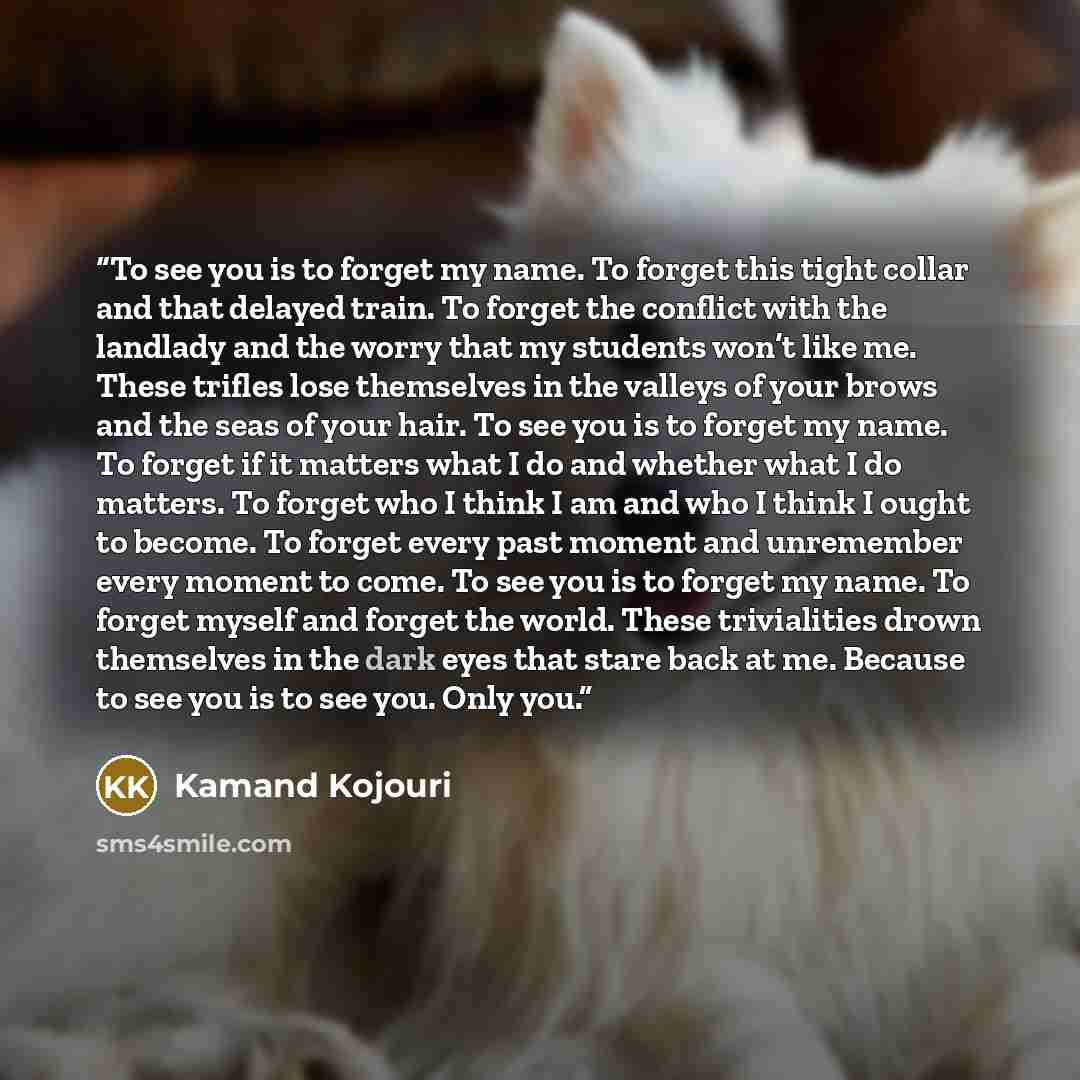 “To see you is to forget my name. To forget this tight collar and that delayed train. To forget the conflict with the landlady and the worry that my students won’t like me. These trifles lose themselves in the valleys of your brows and the seas of your hair. To see you is to forget my name. To…” quote by Kamand Kojouri