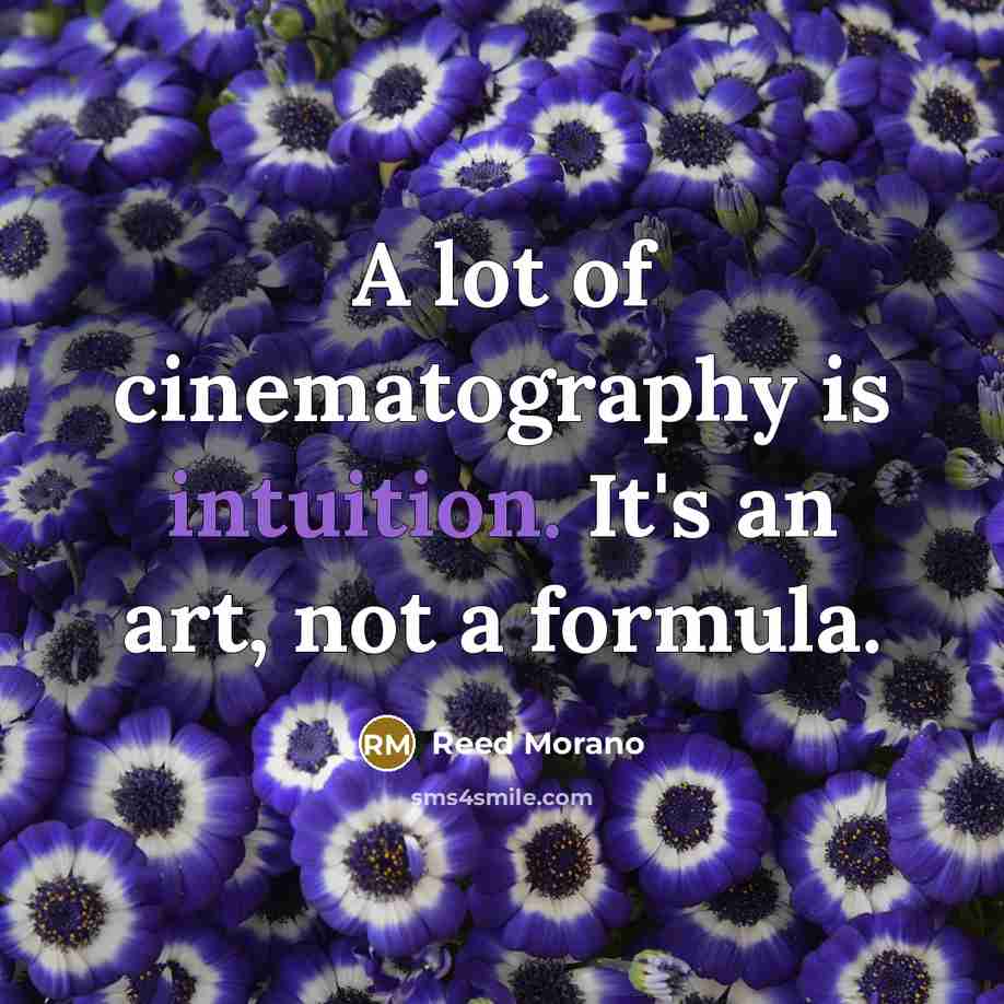 “A lot of cinematography is intuition. It's an art, not a formula.” quote by Reed Morano