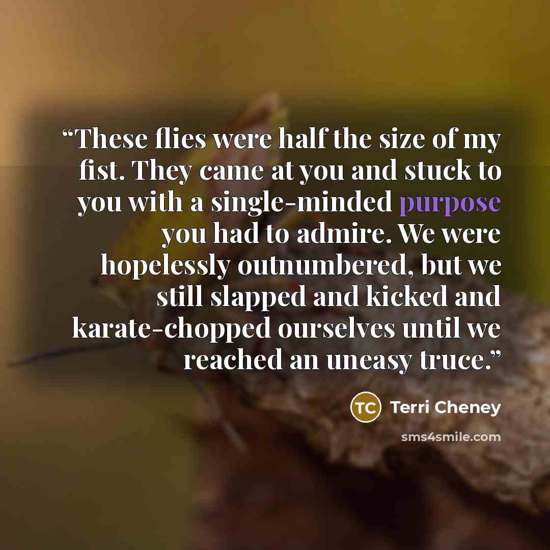 “These flies were half the size of my fist. They came at you and stuck to you with a single-minded purpose you had to admire. We were hopelessly outnumbered, but we still slapped and kicked and karate-chopped ourselves until we reached an uneasy truce.” quote by Terri Cheney