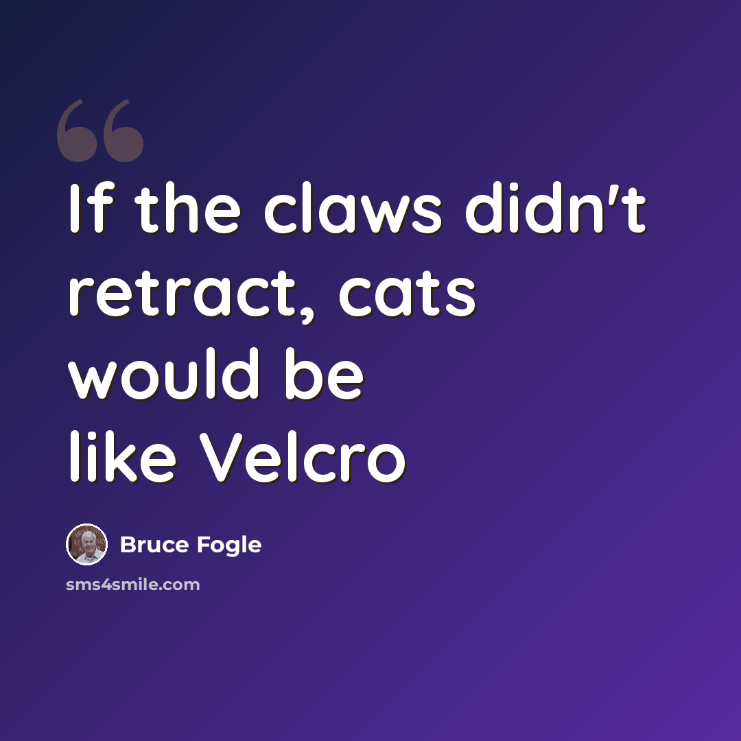 “If the claws didn't retract, cats would be like Velcro” quote by Bruce Fogle