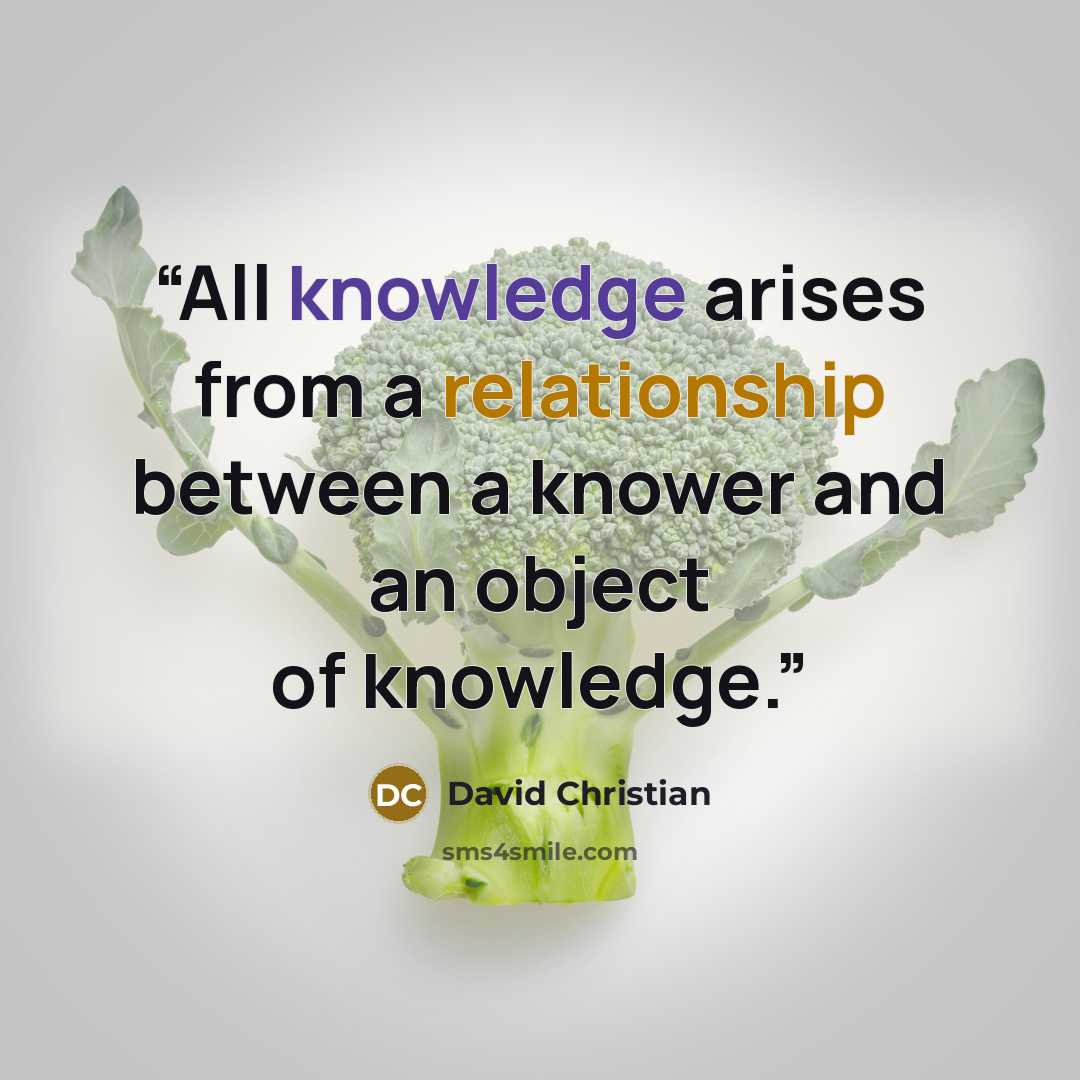 “All knowledge arises from a relationship between a knower and an object of knowledge.” quote by David Christian