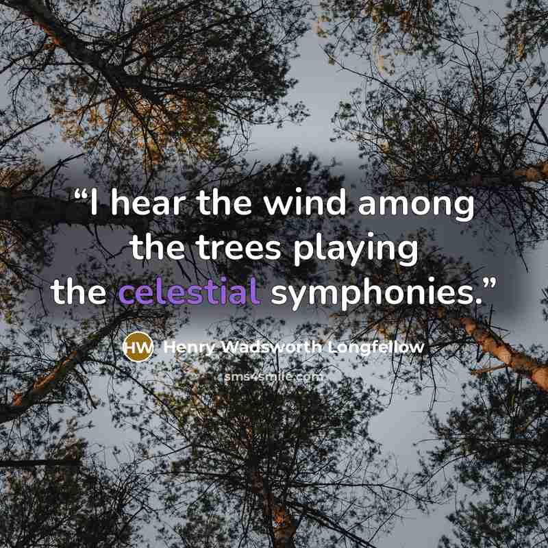 “I hear the wind among the trees playing the celestial symphonies.” quote by Henry Wadsworth Longfellow