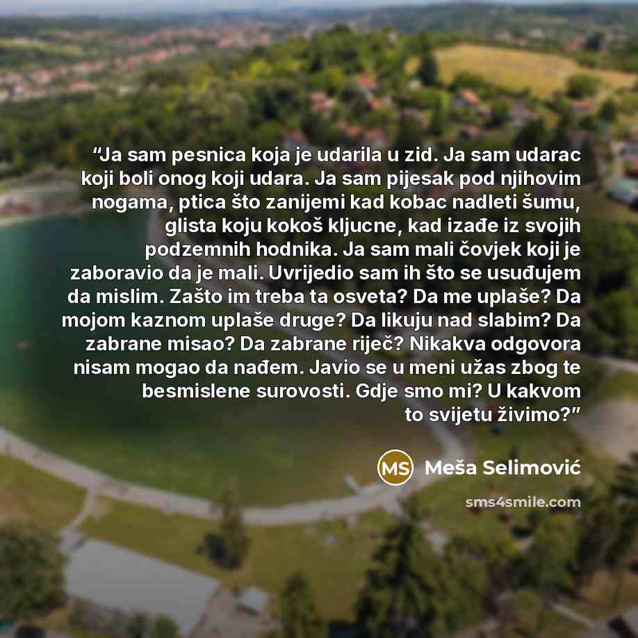 “Ja sam pesnica koja je udarila u zid. Ja sam udarac koji boli onog koji udara. Ja sam pijesak pod njihovim nogama, ptica što zanijemi kad kobac nadleti šumu, glista koju kokoš kljucne, kad izađe iz svojih podzemnih hodnika. Ja sam mali čovjek koji je zaboravio da je mali. Uvrijedio sam ih što se…” quote by Meša Selimović