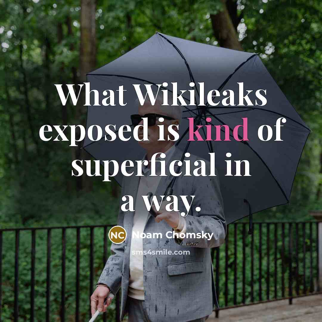 “What Wikileaks exposed is kind of superficial in a way.” quote by Noam Chomsky