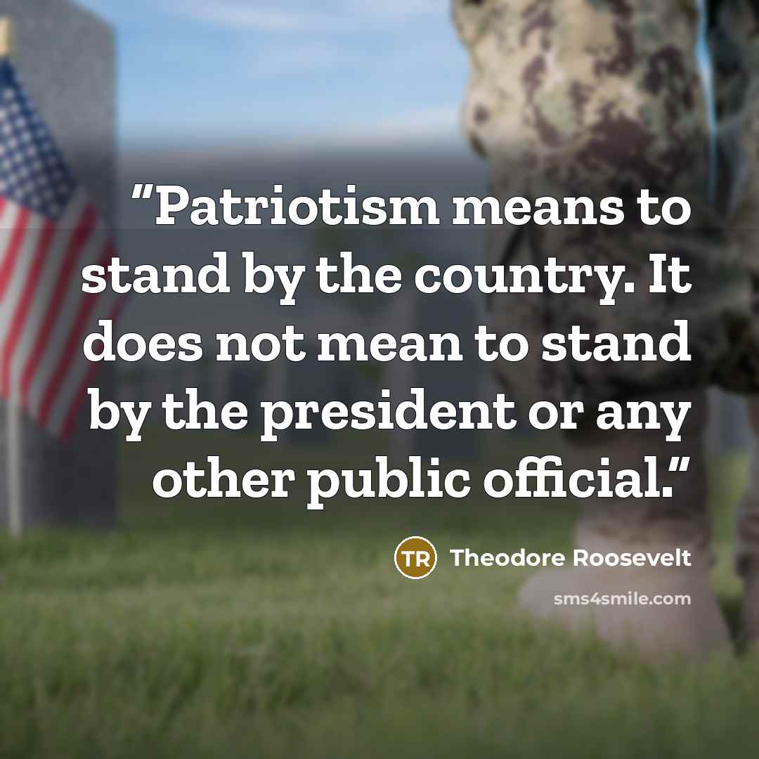 “Patriotism means to stand by the country. It does not mean to stand by the president or any other public official.” quote by Theodore Roosevelt