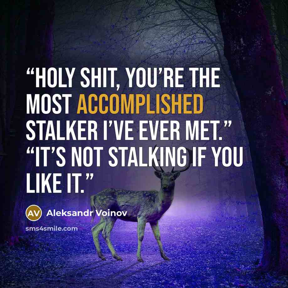 “Holy shit, you’re the most accomplished stalker I’ve ever met.” “It’s not stalking if you like it.” quote by Aleksandr Voinov