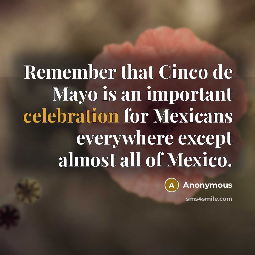 “Remember that Cinco de Mayo is an important celebration for Mexicans everywhere except almost all of Mexico.” quote by Anonymous
