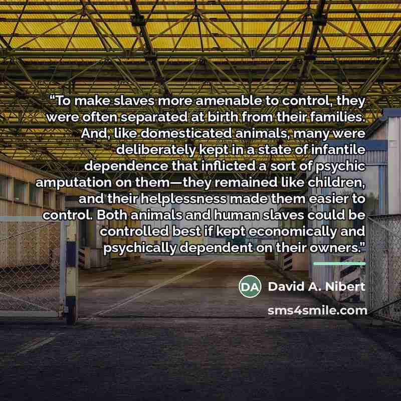 “To make slaves more amenable to control, they were often separated at birth from their families. And, like domesticated animals, many were deliberately kept in a state of infantile dependence that inflicted a sort of psychic amputation on them—they remained like children, and their helplessness…” quote by David A. Nibert
