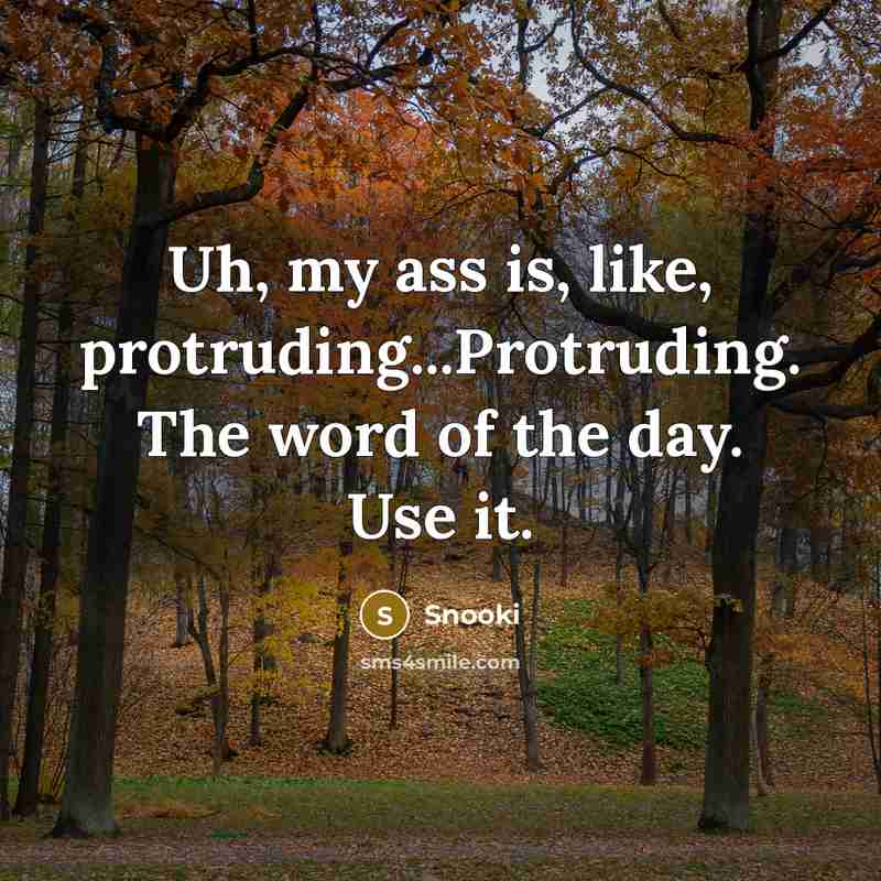 “Uh, my ass is, like, protruding...Protruding. The word of the day. Use it.” quote by Snooki
