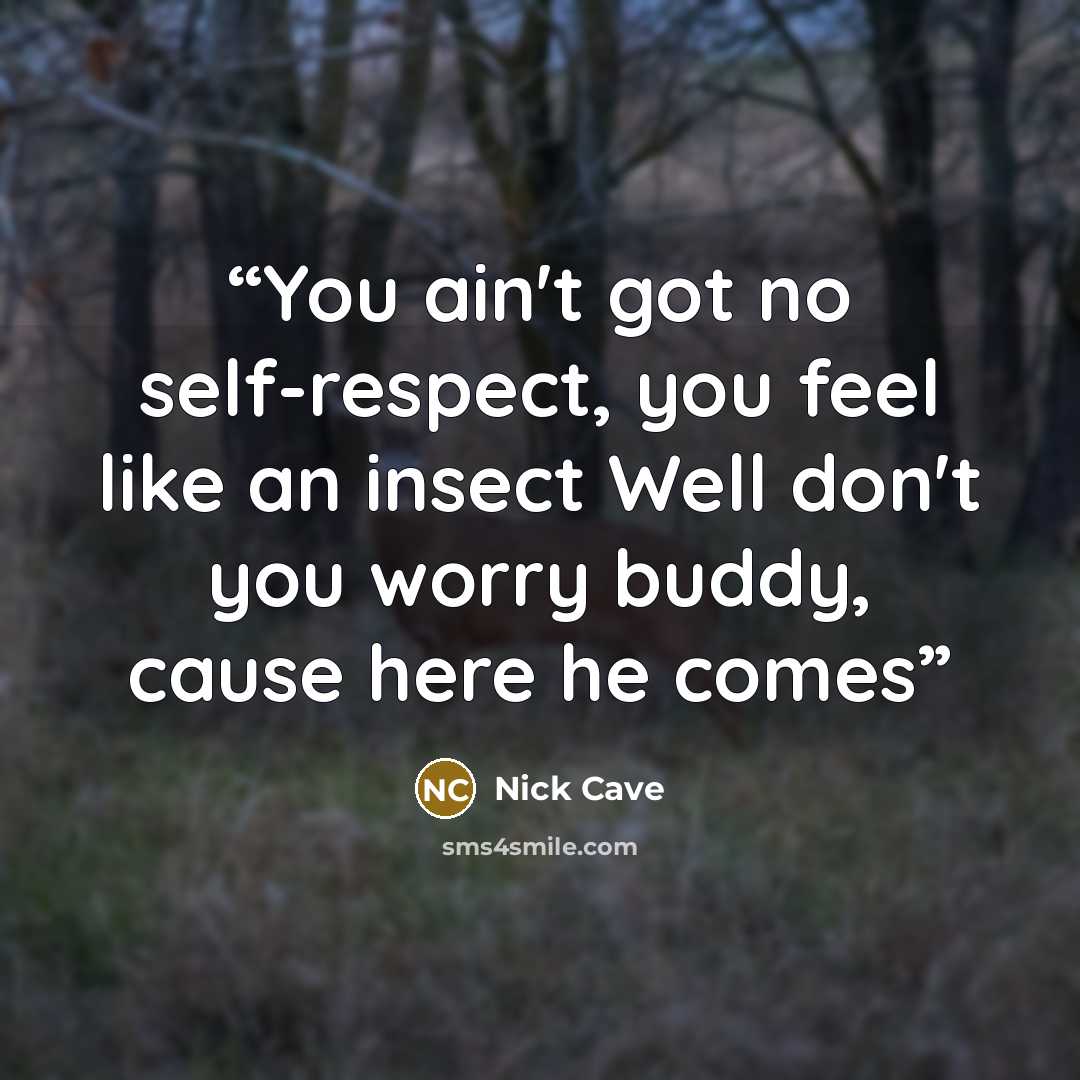 “You ain't got no self-respect, you feel like an insect Well don't you worry buddy, cause here he comes” quote by Nick Cave