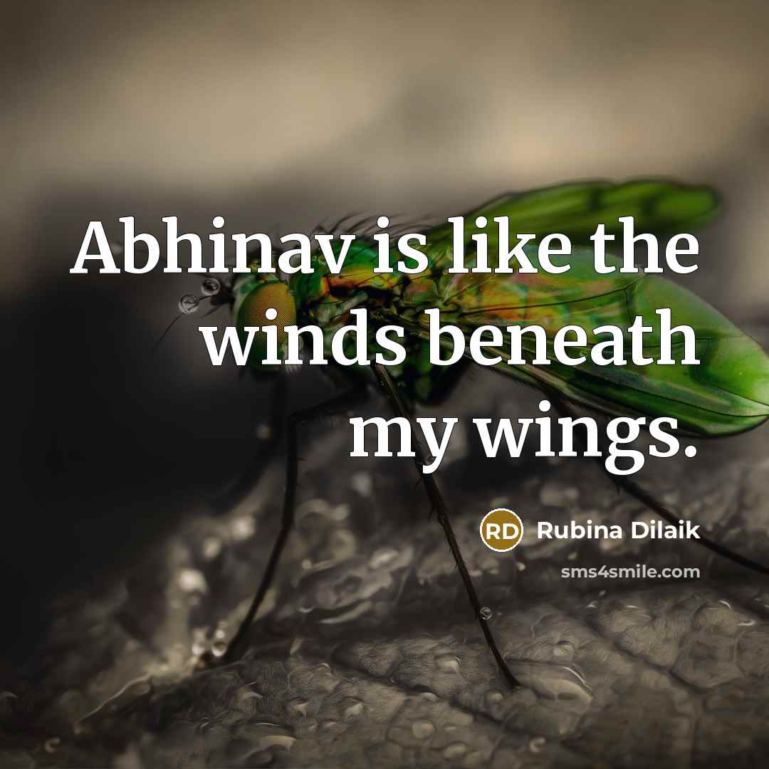 “Abhinav is like the winds beneath my wings.” quote by Rubina Dilaik