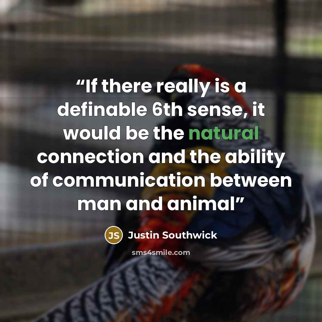 “If there really is a definable 6th sense, it would be the natural connection and the ability of communication between man and animal” quote by Justin Southwick