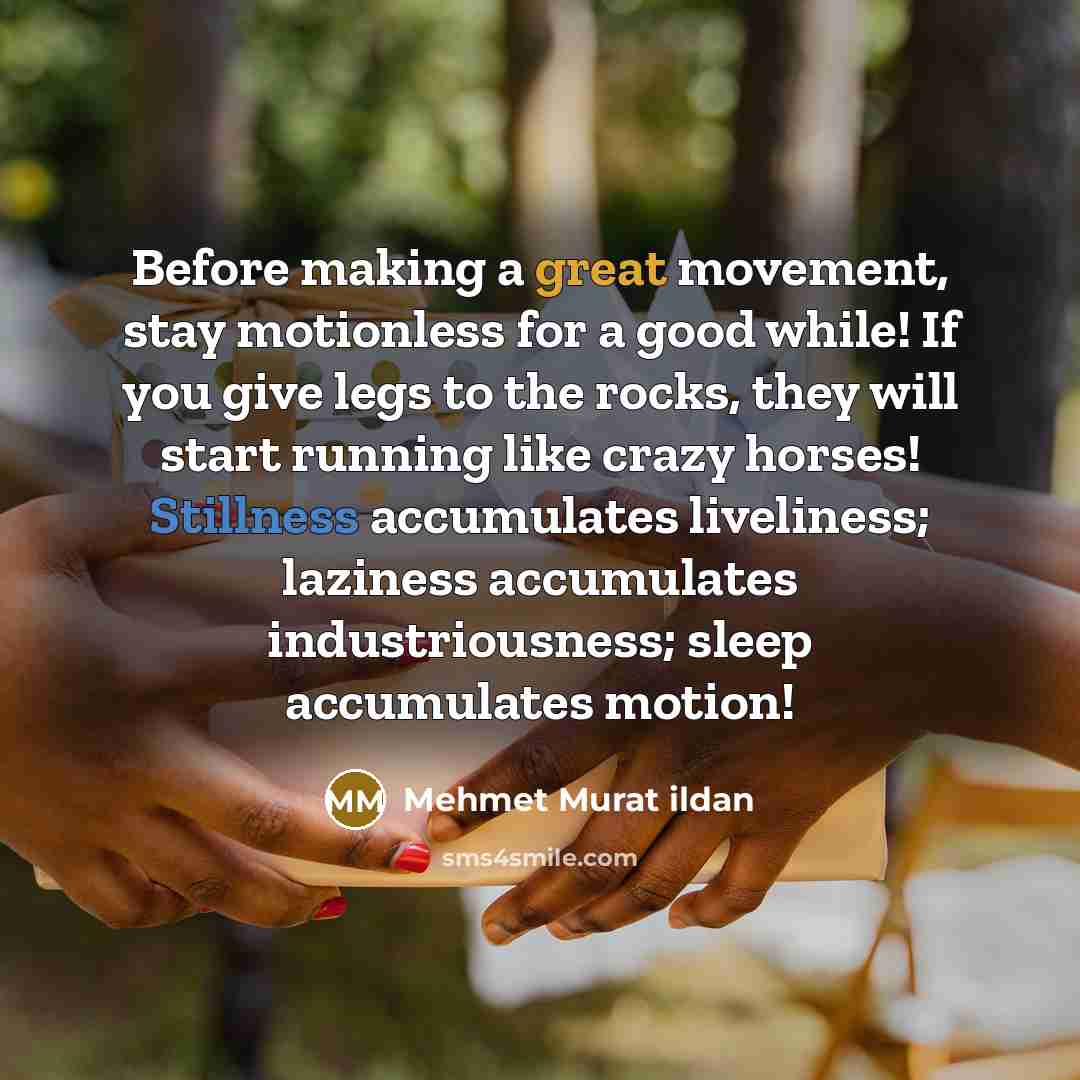 “Before making a great movement, stay motionless for a good while! If you give legs to the rocks, they will start running like crazy horses! Stillness accumulates liveliness; laziness accumulates industriousness; sleep accumulates motion!” quote by Mehmet Murat Ildan