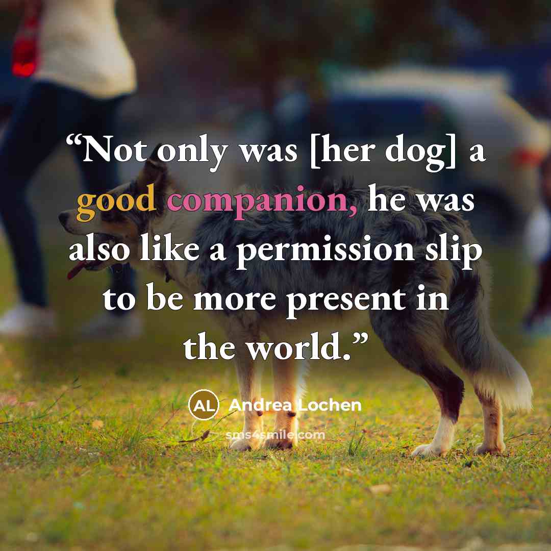 “Not only was [her dog] a good companion, he was also like a permission slip to be more present in the world.” quote by Andrea Lochen