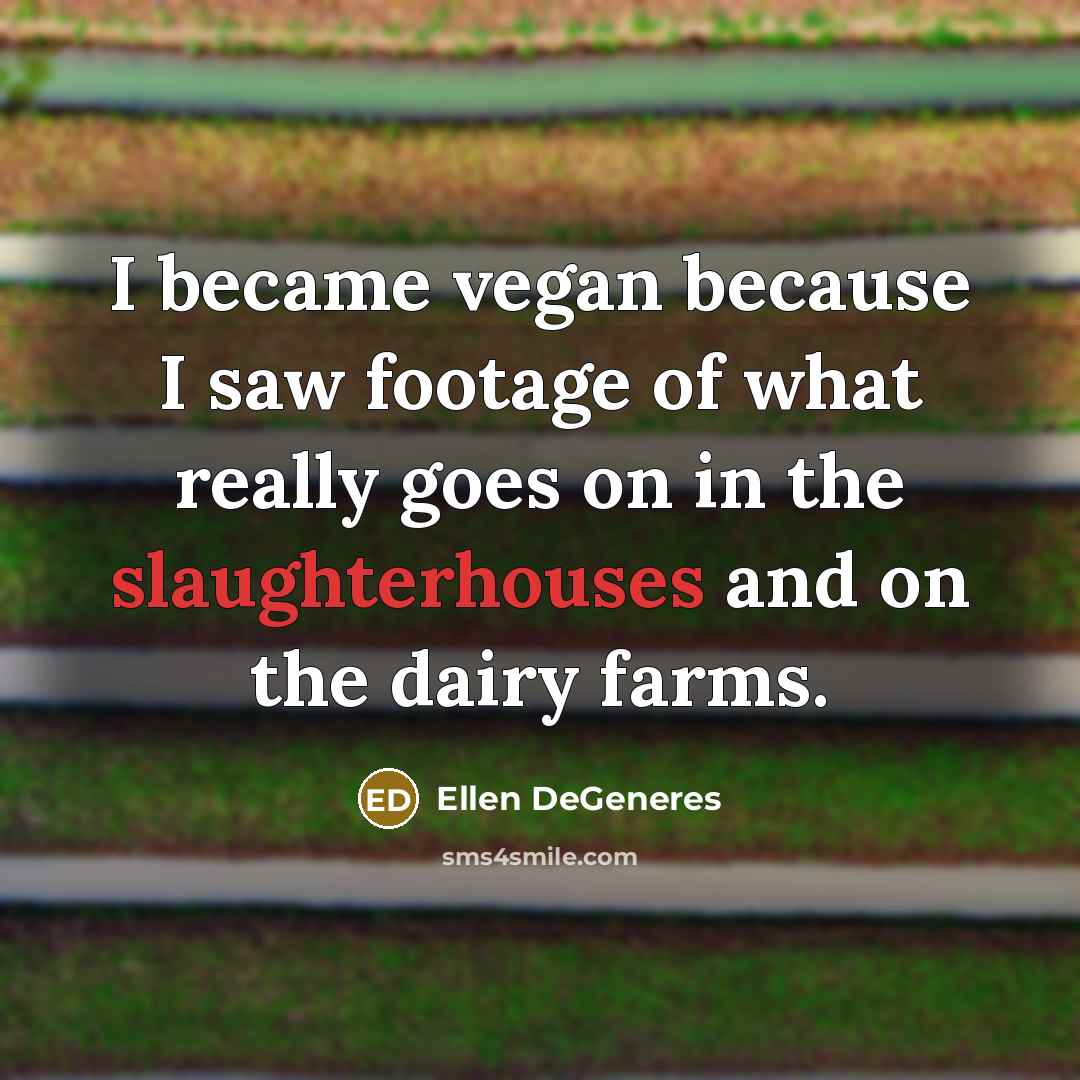 “I became vegan because I saw footage of what really goes on in the slaughterhouses and on the dairy farms.” quote by Ellen DeGeneres