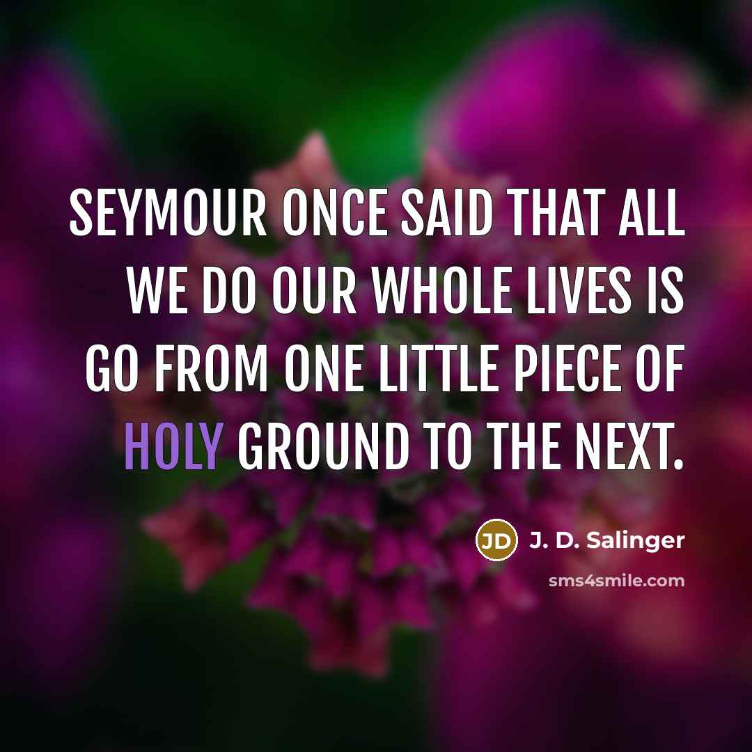 “Seymour once said that all we do our whole lives is go from one little piece of Holy Ground to the next.” quote by J. D. Salinger