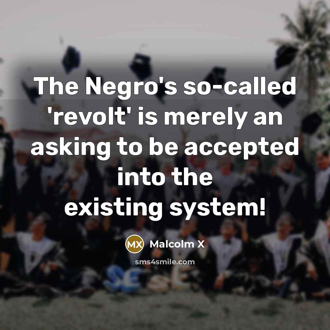 “The Negro's so-called 'revolt' is merely an asking to be accepted into the existing system!” quote by Malcolm X