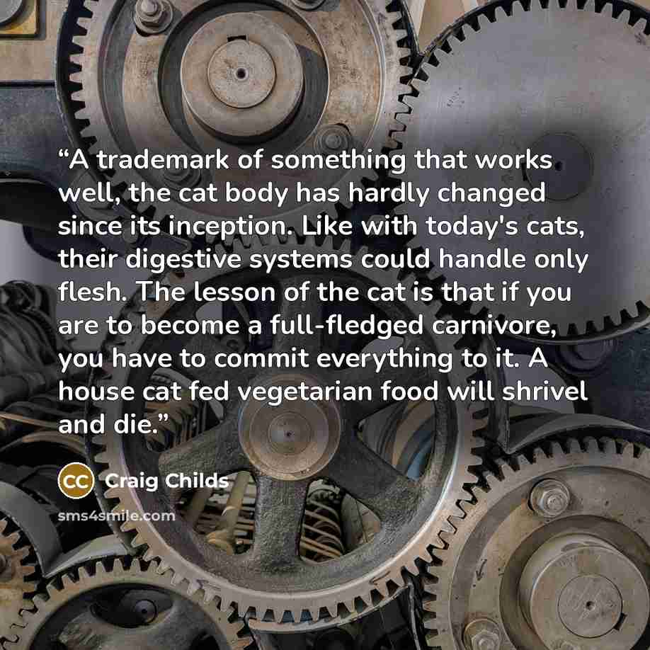 “A trademark of something that works well, the cat body has hardly changed since its inception. Like with today's cats, their digestive systems could handle only flesh. The lesson of the cat is that if you are to become a full-fledged carnivore, you have to commit everything to it. A house cat fed…” quote by Craig Childs