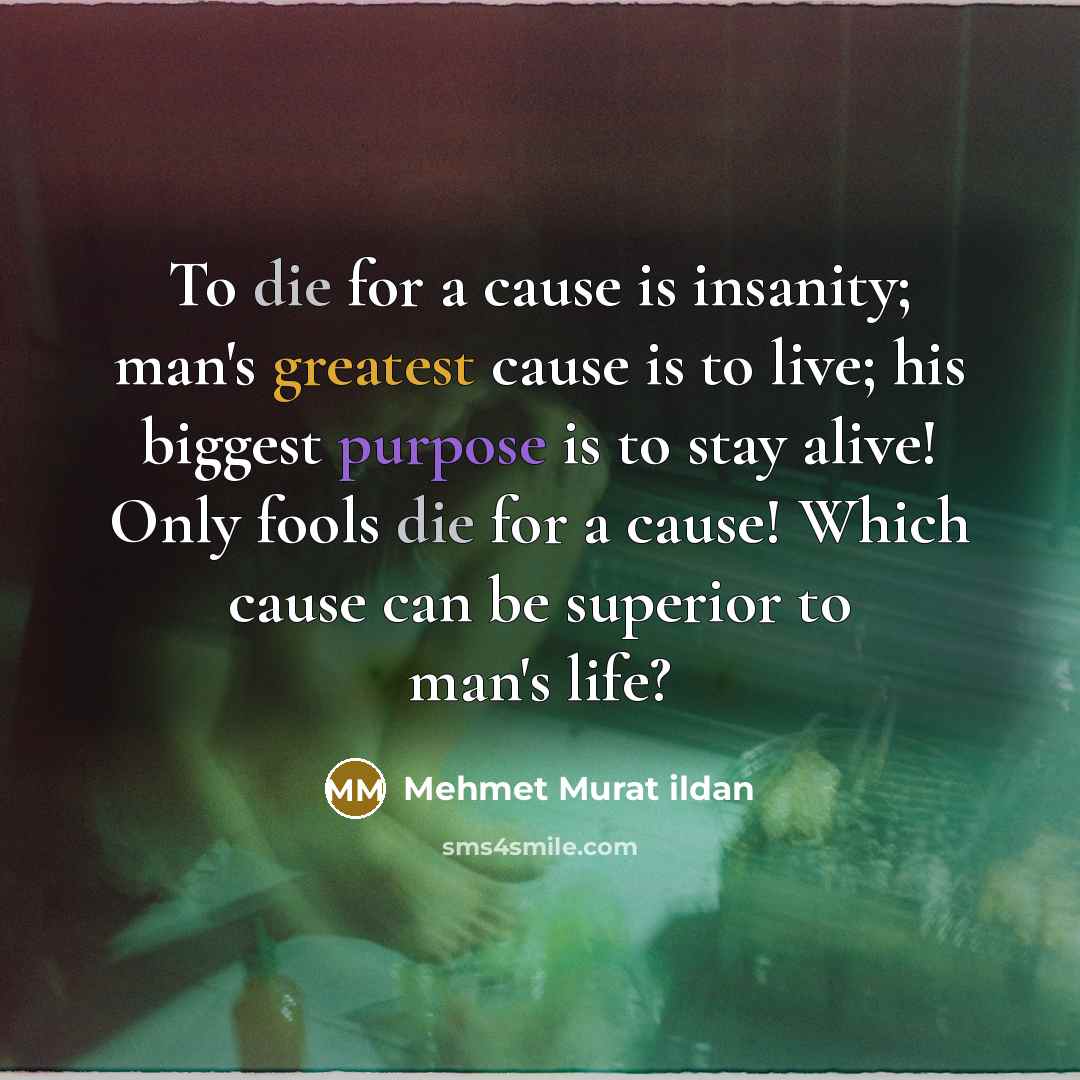 “To die for a cause is insanity; man's greatest cause is to live; his biggest purpose is to stay alive! Only fools die for a cause! Which cause can be superior to man's life?” quote by Mehmet Murat Ildan