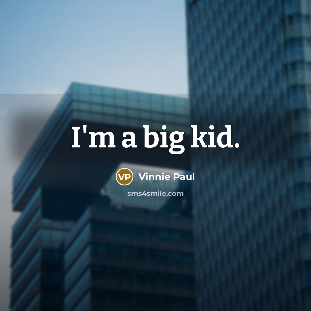 “I'm a big kid.” quote by Vinnie Paul