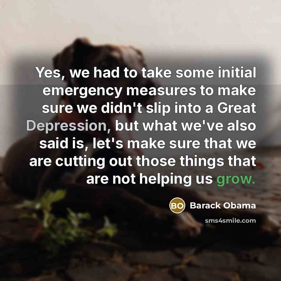 “Yes, we had to take some initial emergency measures to make sure we didn't slip into a Great Depression, but what we've also said is, let's make sure that we are cutting out those things that are not helping us grow.” quote by Barack Obama
