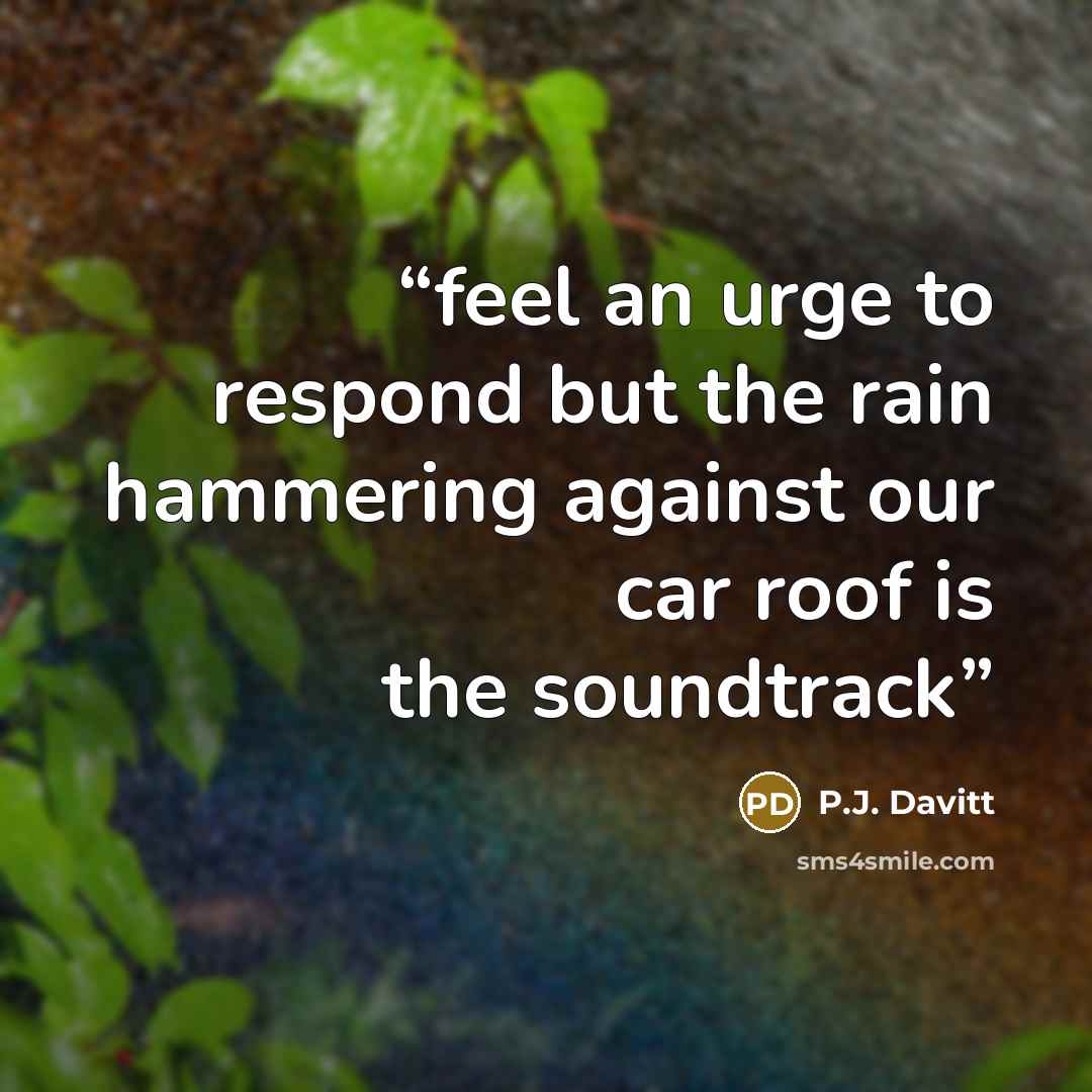 “feel an urge to respond but the rain hammering against our car roof is the soundtrack” quote by P.J. Davitt