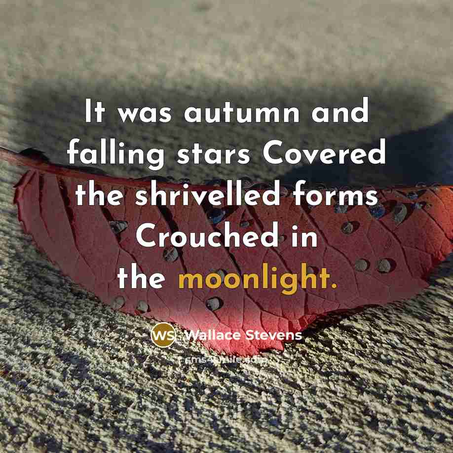 “It was autumn and falling stars Covered the shrivelled forms Crouched in the moonlight.” quote by Wallace Stevens