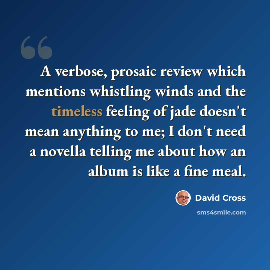 “A verbose, prosaic review which mentions whistling winds and the timeless feeling of jade doesn't mean anything to me; I don't need a novella telling me about how an album is like a fine meal.” quote by David Cross