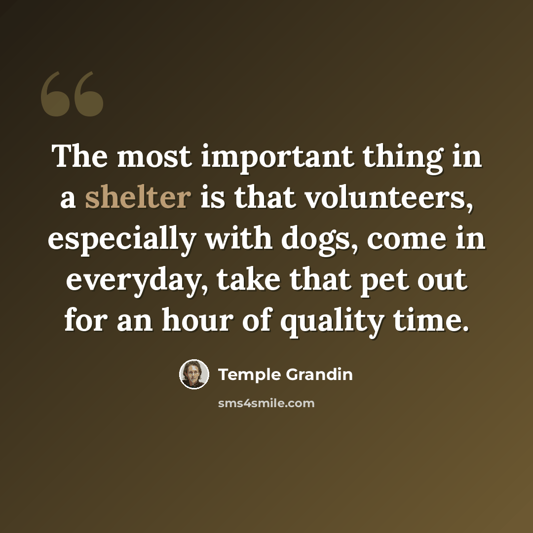 “The most important thing in a shelter is that volunteers, especially with dogs, come in everyday, take that pet out for an hour of quality time.” quote by Temple Grandin